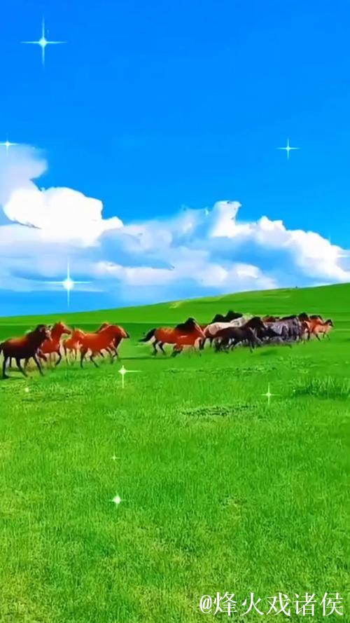 免费在线观看青青草原高清视频